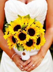 fde7218c0cf98c6b26d32f558fac000e